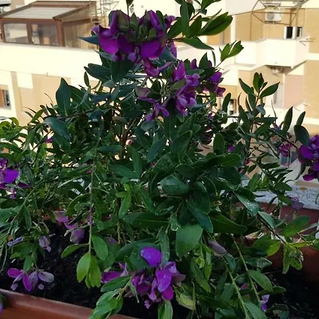 Διαμέρισμα Gabri's Terrace *