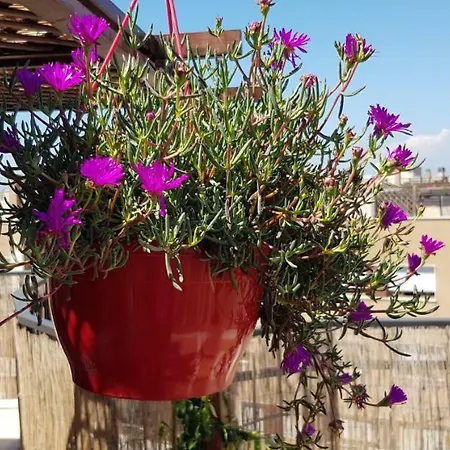 Διαμέρισμα Gabri's Terrace